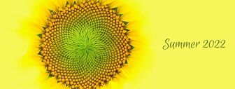 Summer sunflower and SDP events